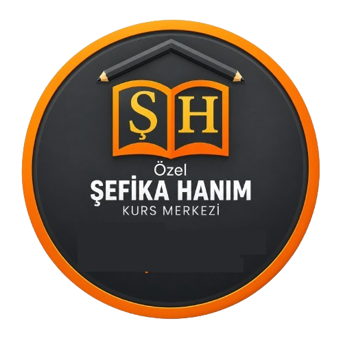Admin Girişi