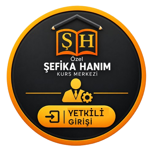Yetkili Girişi